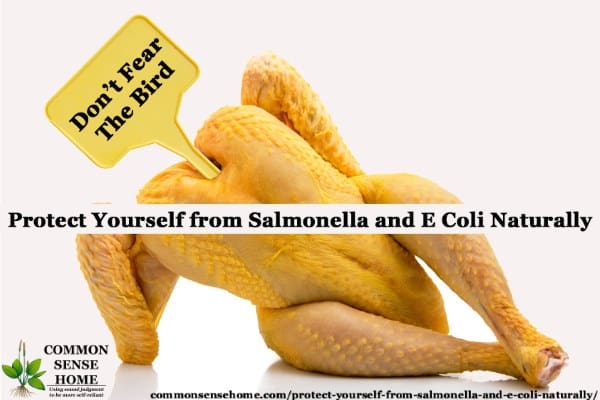 Protect Yourself from Salmonella and E Coli Naturally