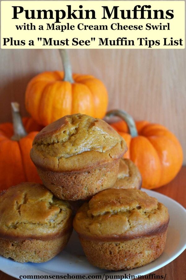 pumpkin muffins on a white plate with mini pumpkins behind