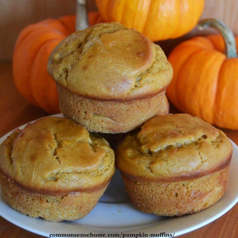 Pumpkin Muffins with Cream Cheese Swirl + a “Must See” Muffin Tips List