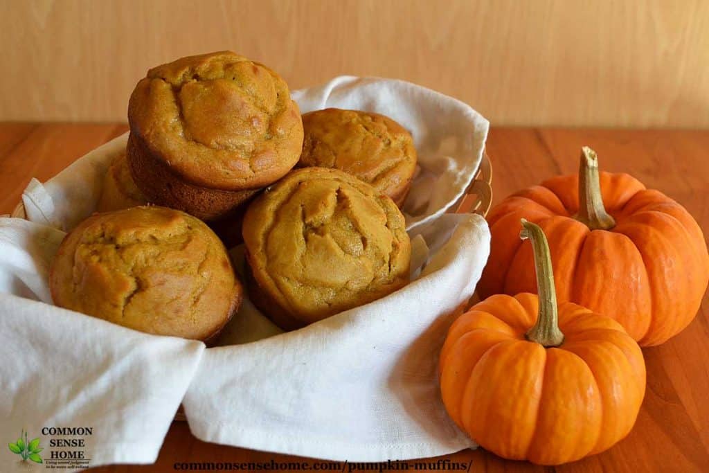 pumpkin muffins with mini pumpkins