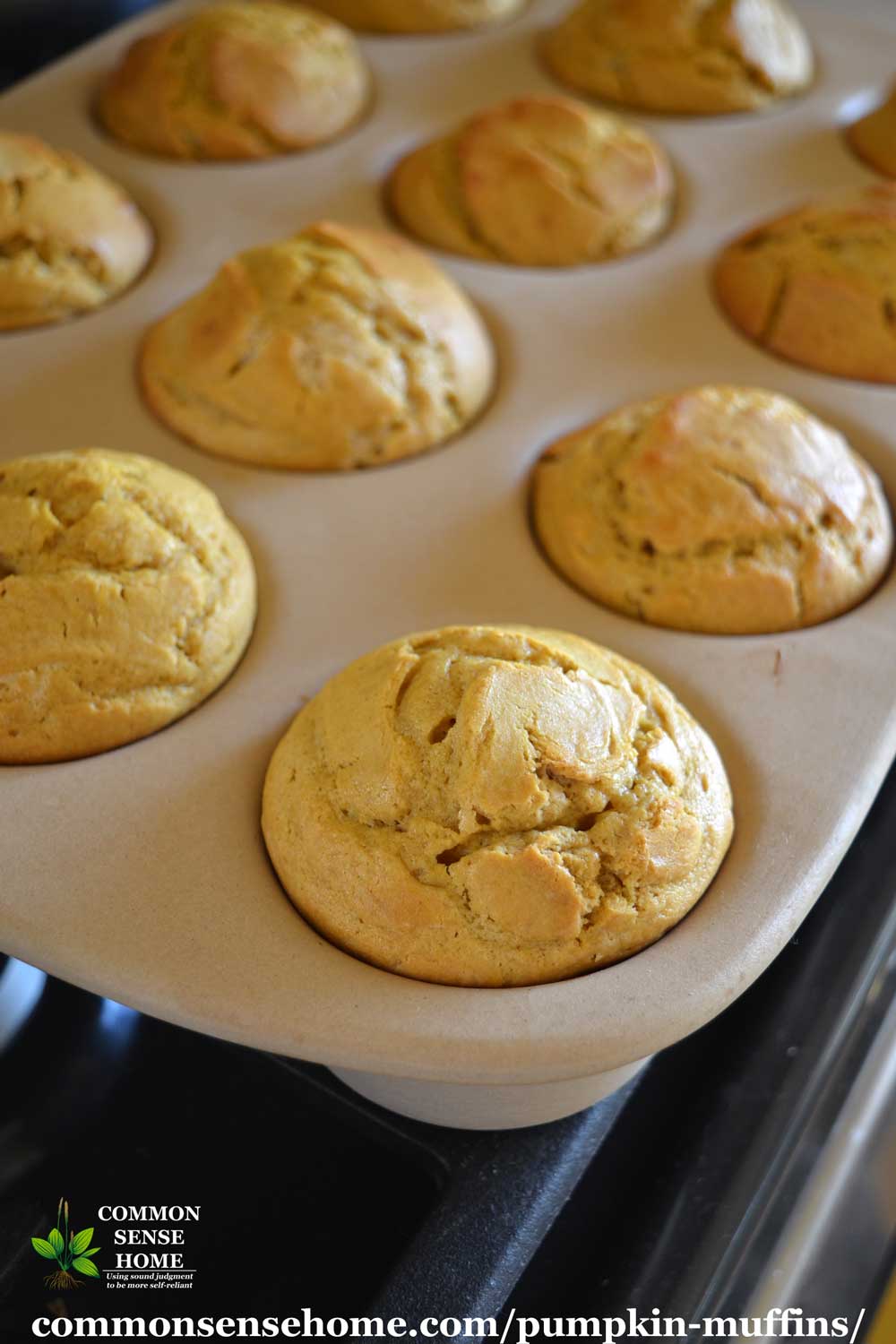 pumpkin muffins in stoneware pan