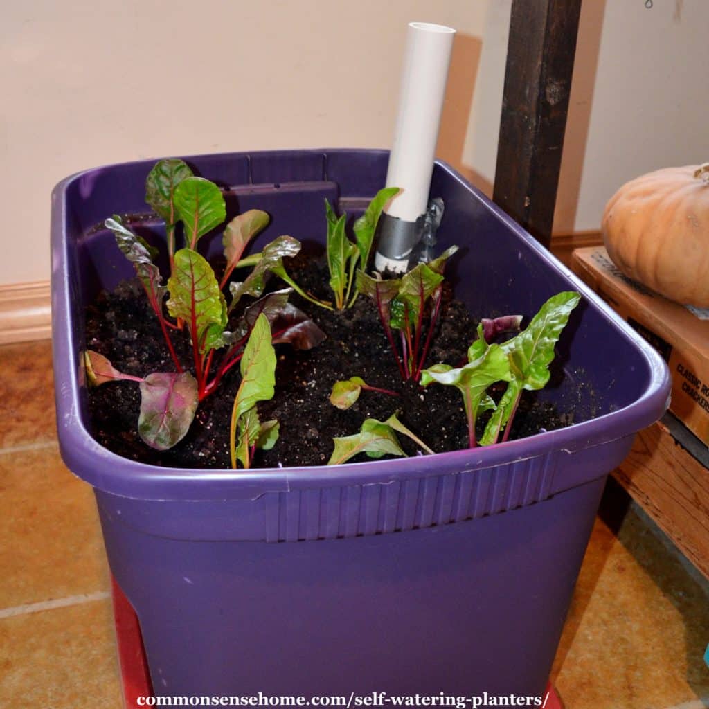 Ou Premium Design HT 180 MA DIY Self-Irrigated Gardening Pot Purple 2 Piece 