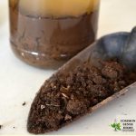soil in trowel with jar soil test behind