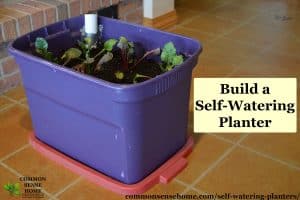 Self Watering Planters - DIY Demo, How They Work, Tips for Use