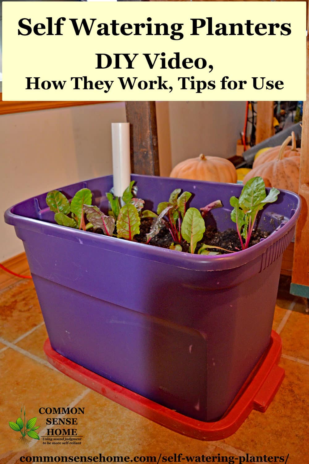 Self Watering Planters Diy Demo How They Work Tips For Use