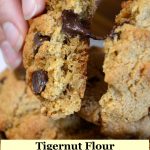 tingernut flour chocolate chip cookies