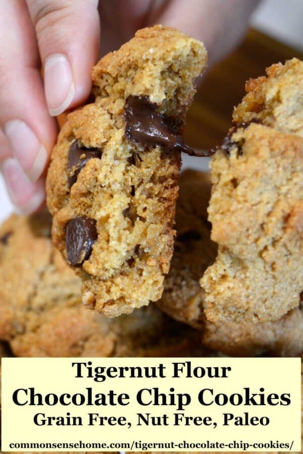 tingernut chocolate chip cookies