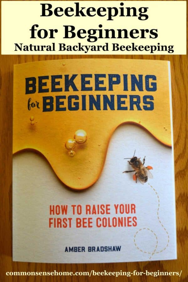 Beekeeping for Beginners book