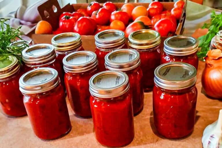 Spaghetti Sauce for Canning (Use Fresh or Frozen Tomatoes)