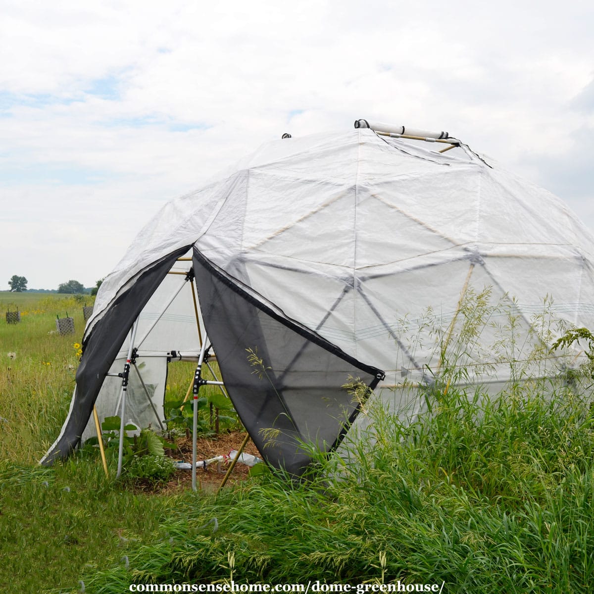 Harvest Right Dome Greenhouse Review (1 Year After Installation)