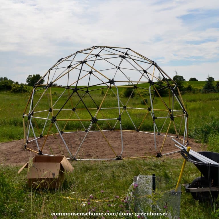 Harvest Right Dome Greenhouse Review (1 Year After Installation)