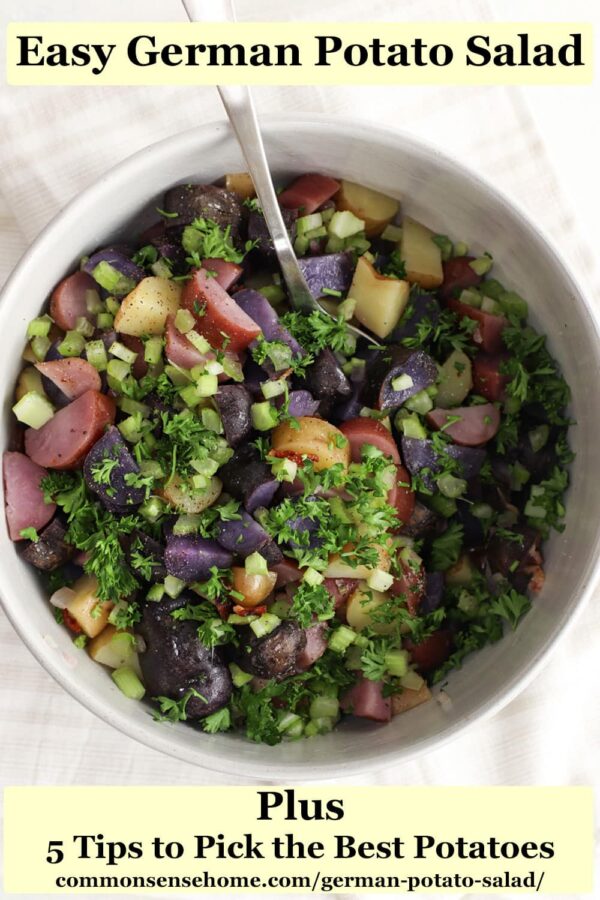 bowl of German potato salad