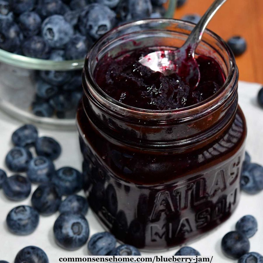 blueberry jam and blueberries