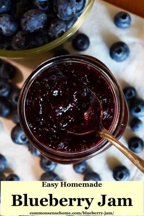 Blueberry Jam - Easy, Small Batch, Low Sugar & Very Blueberry