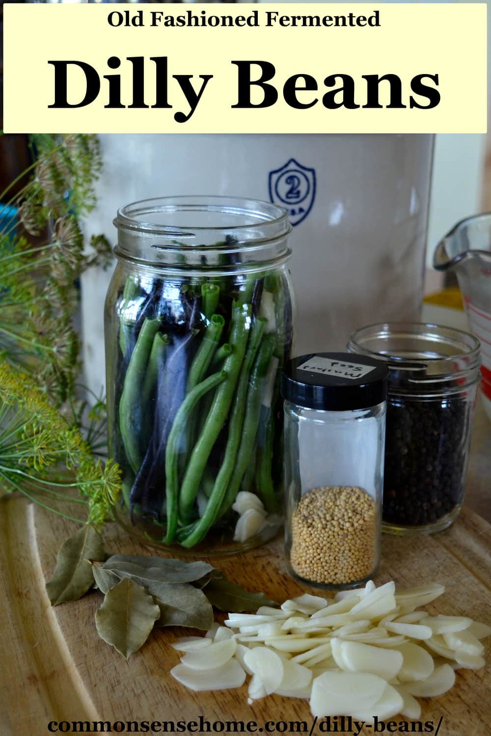 Dilly Beans Quick and Easy (Store in Refrigerator)