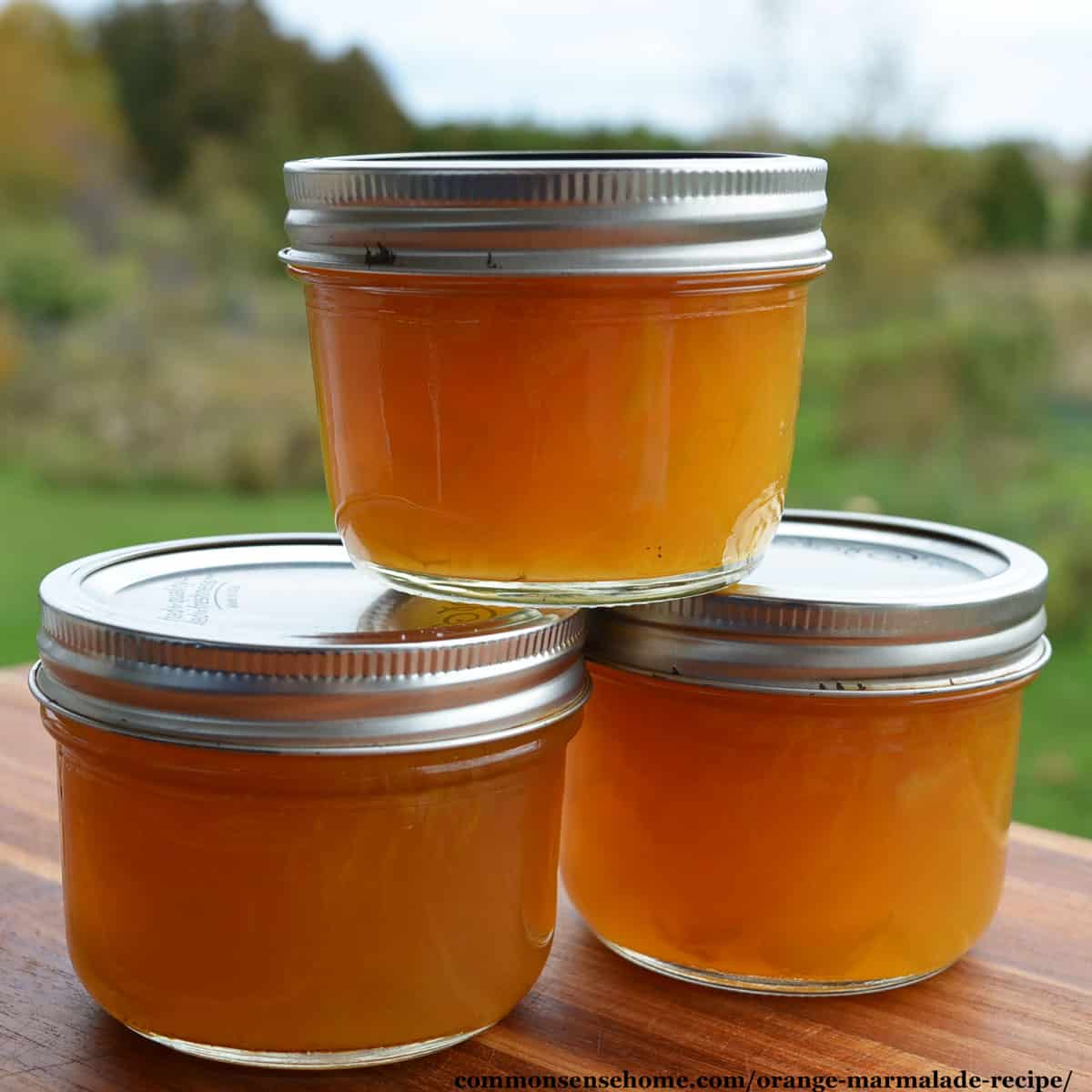 3 jars of orange marmalade
