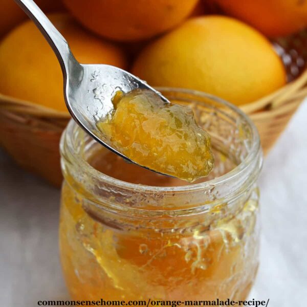 Orange Marmalade Recipe (Quick Cooking, Low Sugar)