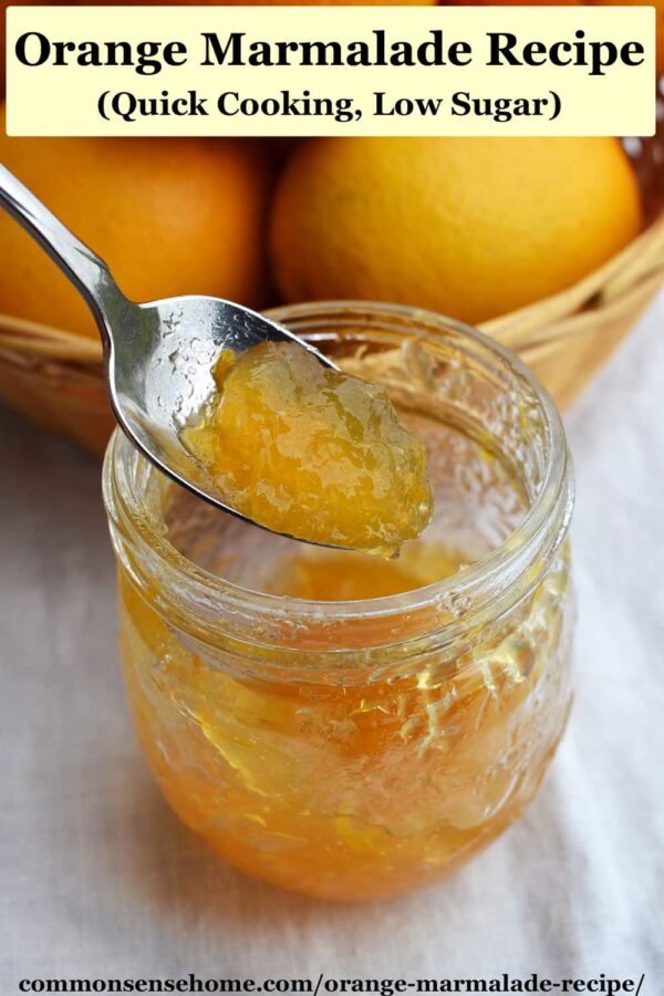 Orange Marmalade Recipe (Quick Cooking, Low Sugar)