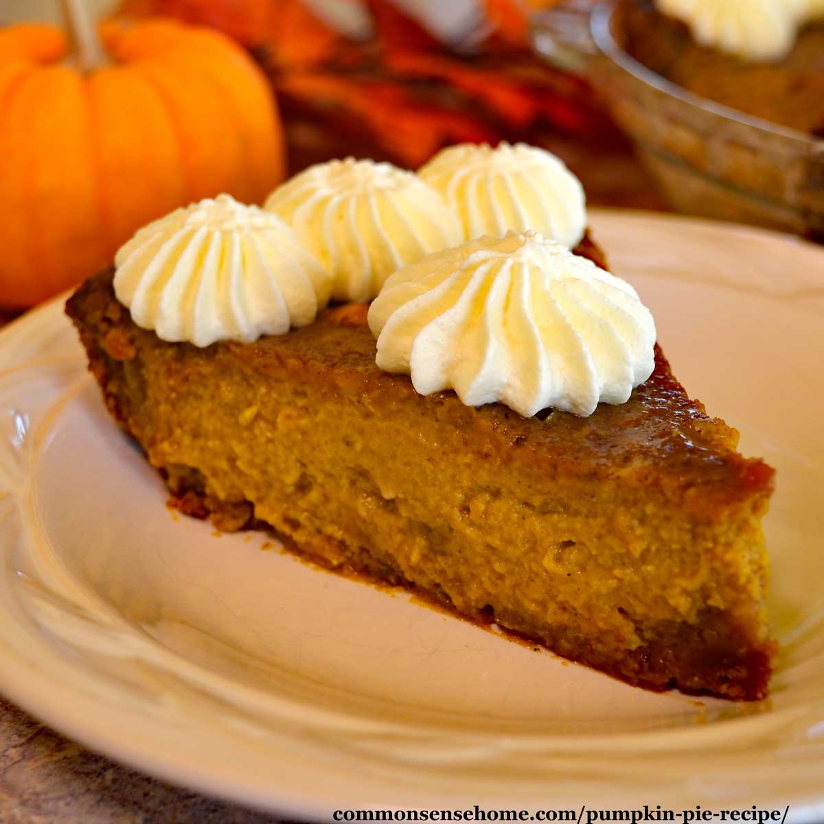 Receta de tarta de calabaza casera con corteza de galleta graham