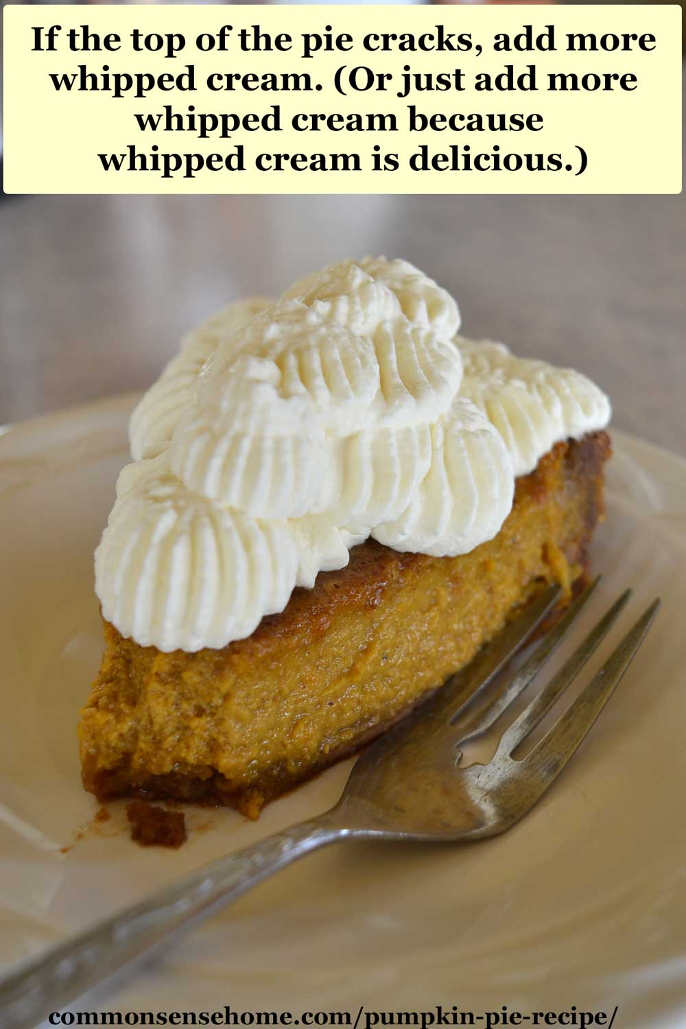 pumpkin pie slice with tons of whipped cream