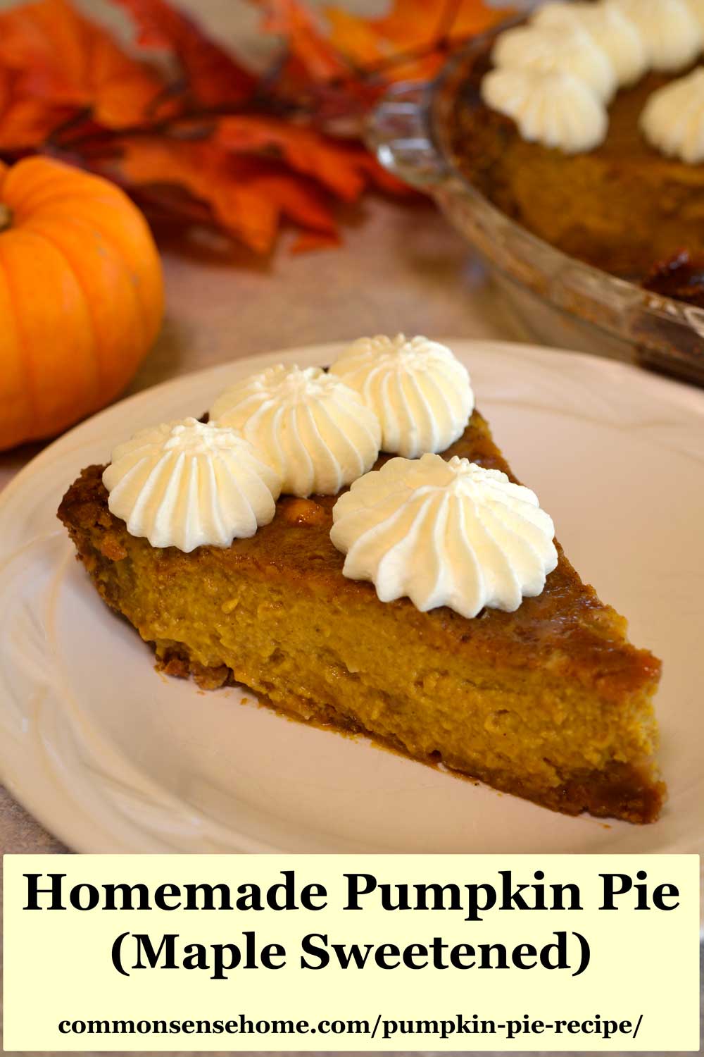 homemade pumpkin pie with whipped cream