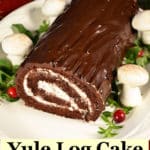 chocolate yule log cake