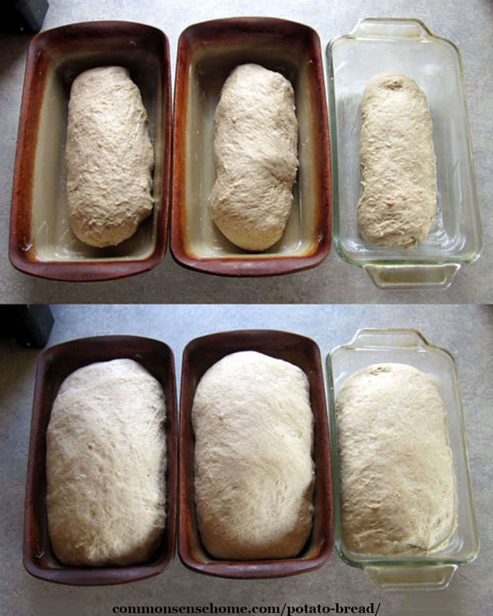 loaves of potato bread before and after rising
