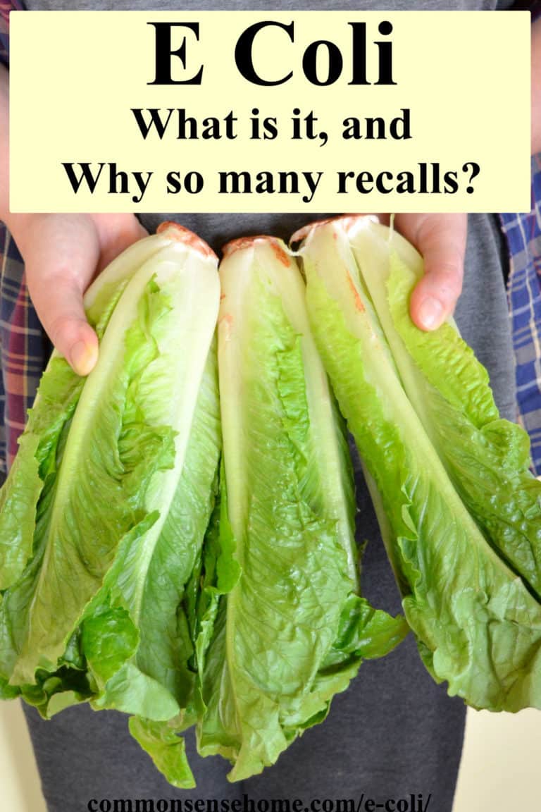 E Coli What is it, and why are there so many recalls?