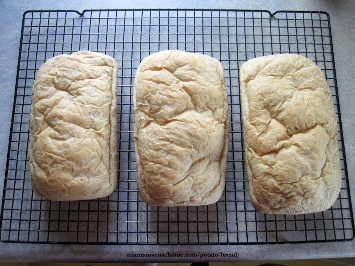 three loaves of potato bread