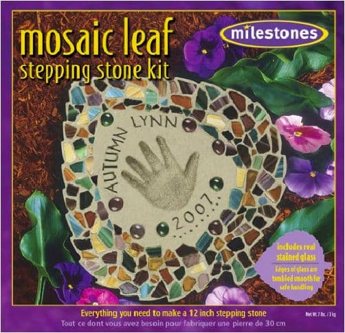 mosiac stepping stone kit