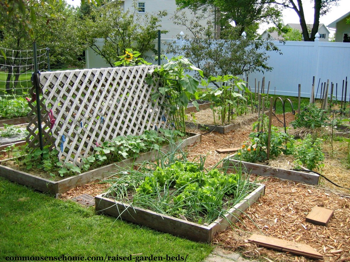 elevated cedar garden beds