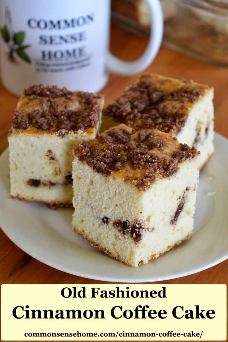 Cinnamon Coffee Cake Grandma Catherine's Recipe
