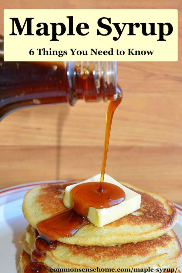 Maple Syrup 6 Interesting Facts About This Natural Sweetener