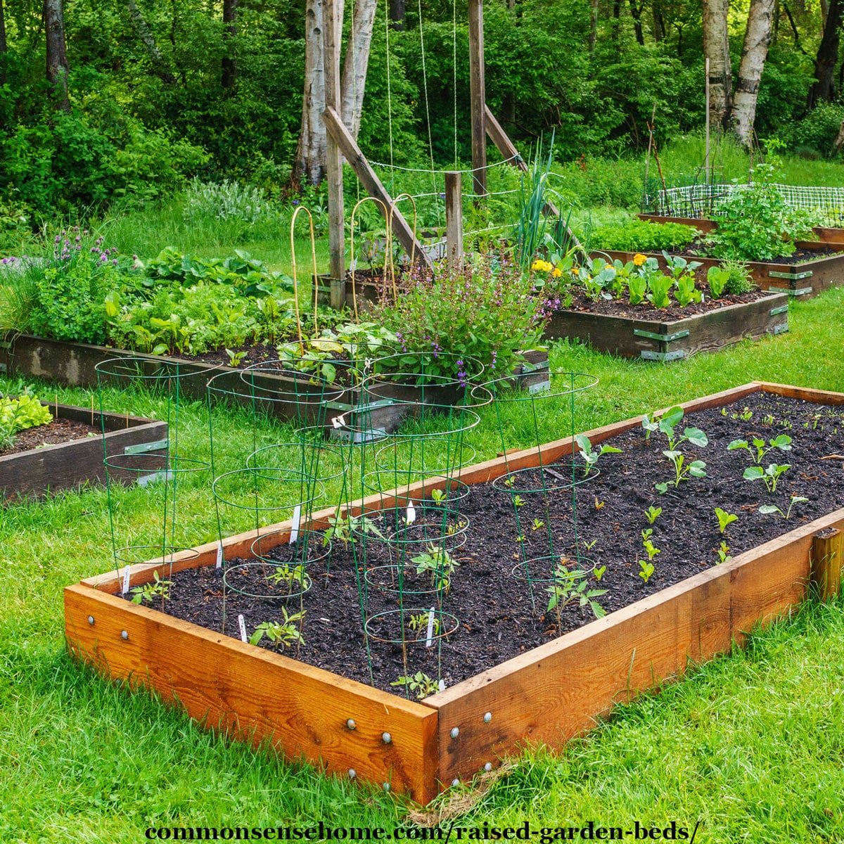 How To Raised Garden Beds