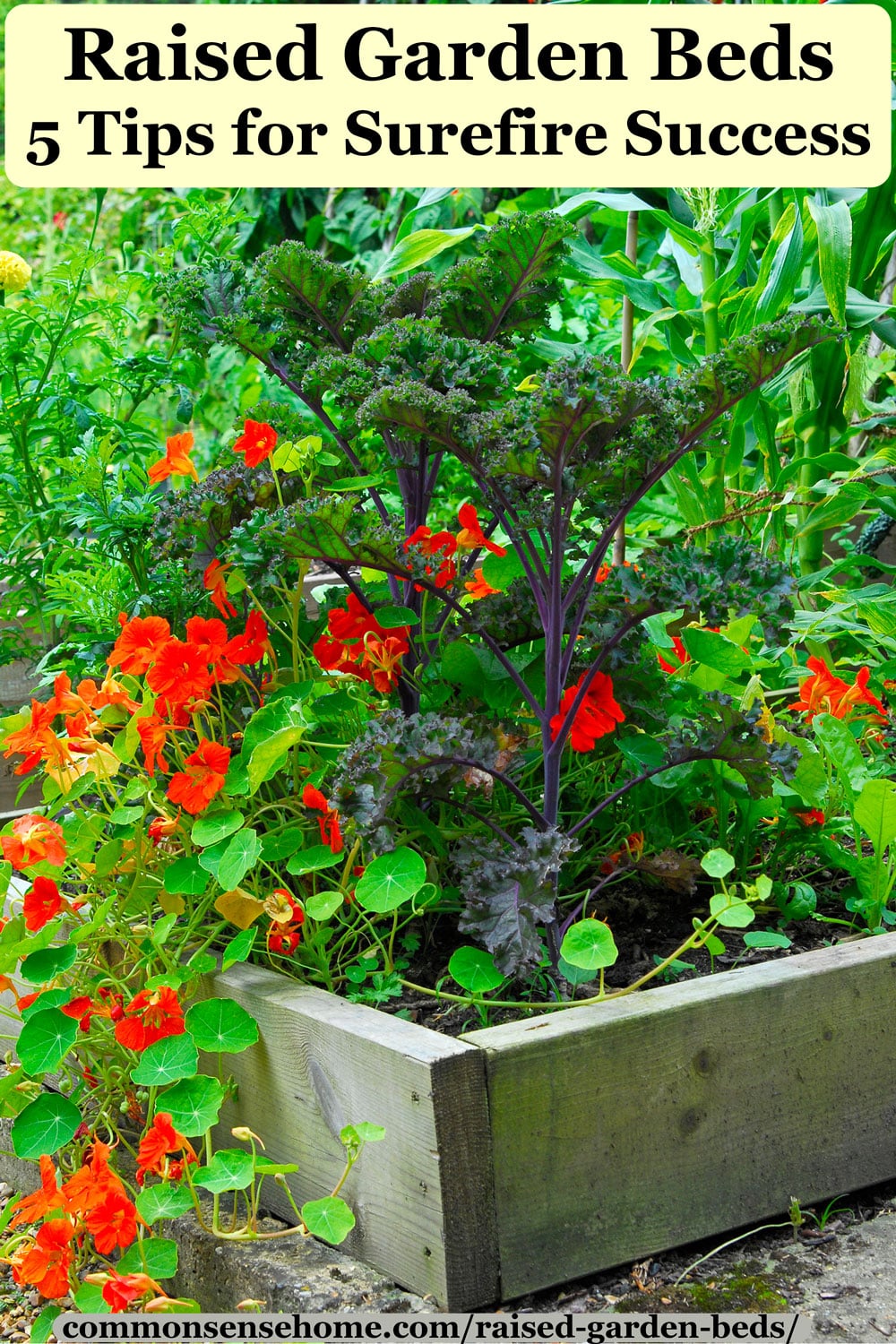 raised garden bed with flowers and vegetables