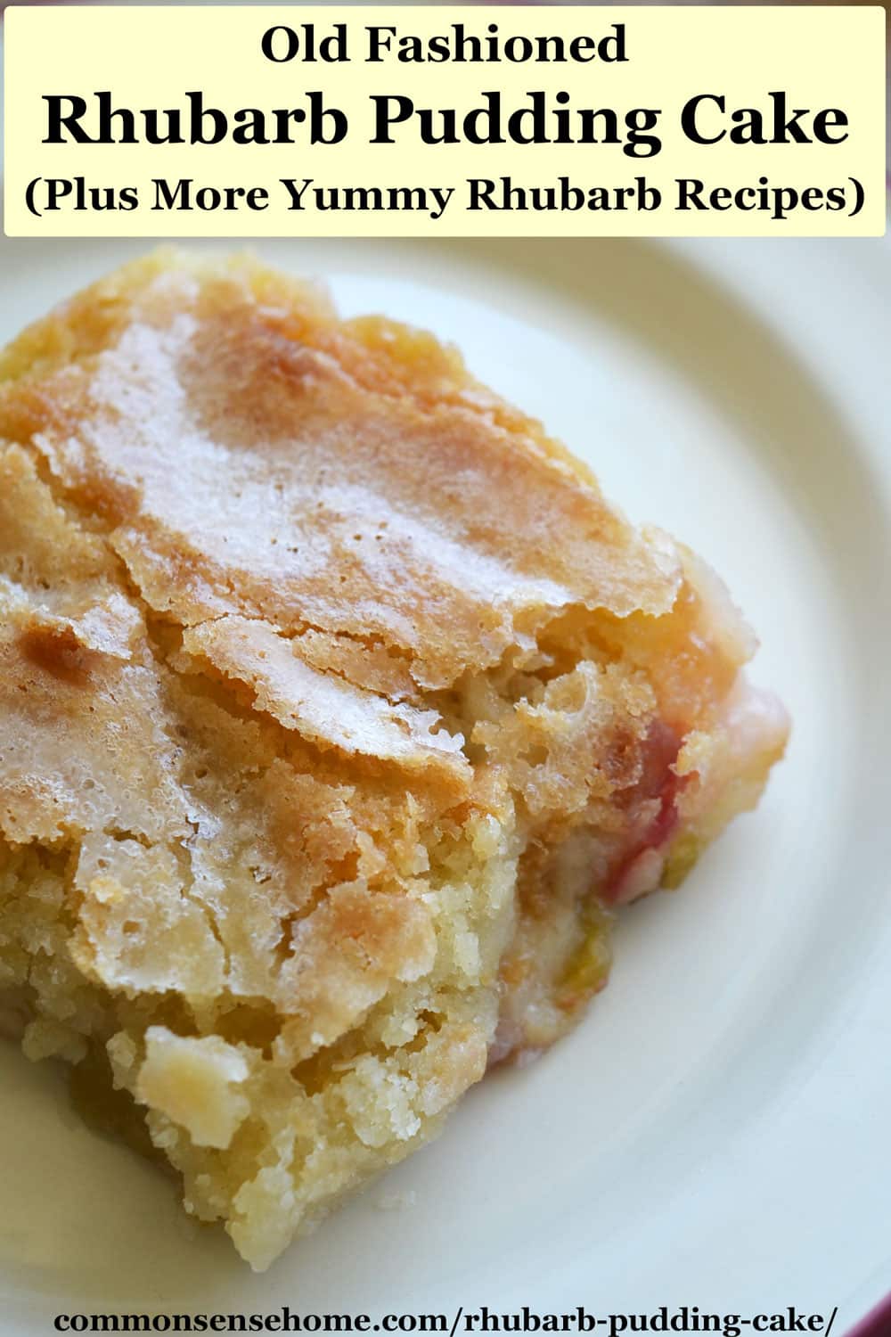 Rhubarb Pudding Cake (Plus 9 More Yummy Rhubarb Recipes)