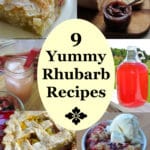 yummy rhubarb recipes