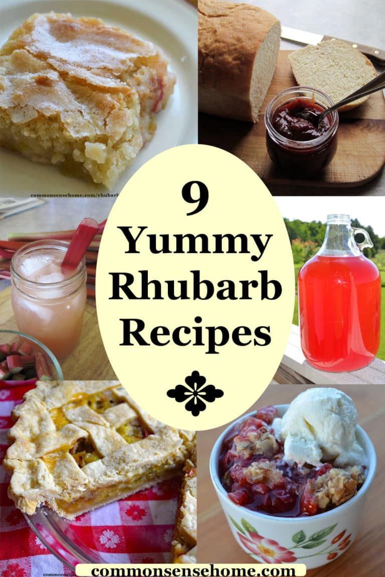 Rhubarb Pudding Cake (Plus 9 More Yummy Rhubarb Recipes)