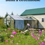 10 x 20 home greenhouse