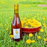 Dandelion Wine Recipe - Bottled wine in flower field