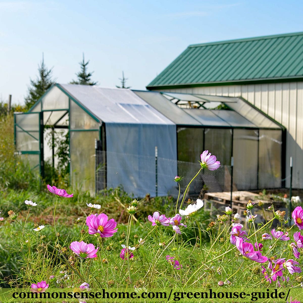 Greenhouse Guide What You Need To Know Before You Build