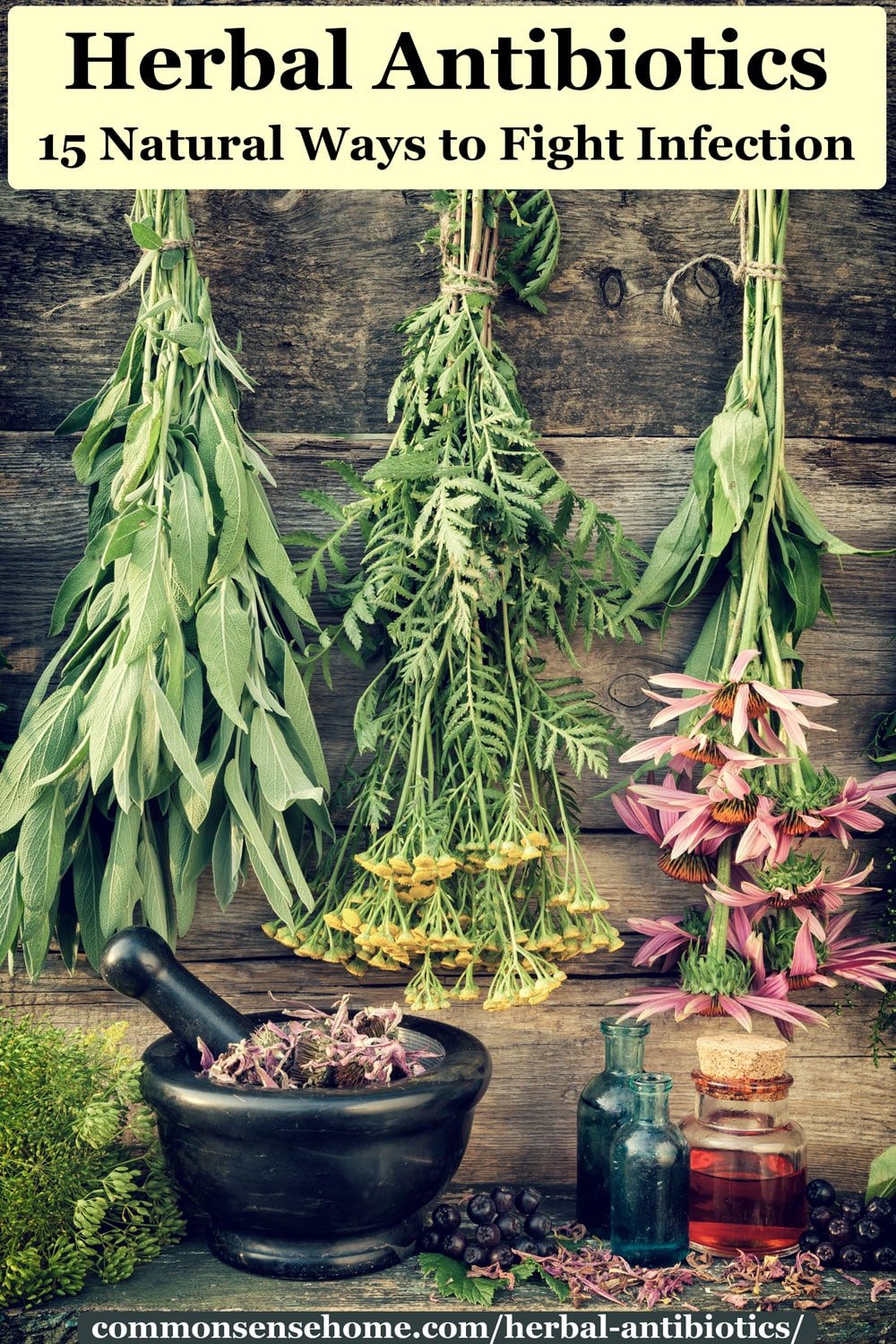 drying herbs