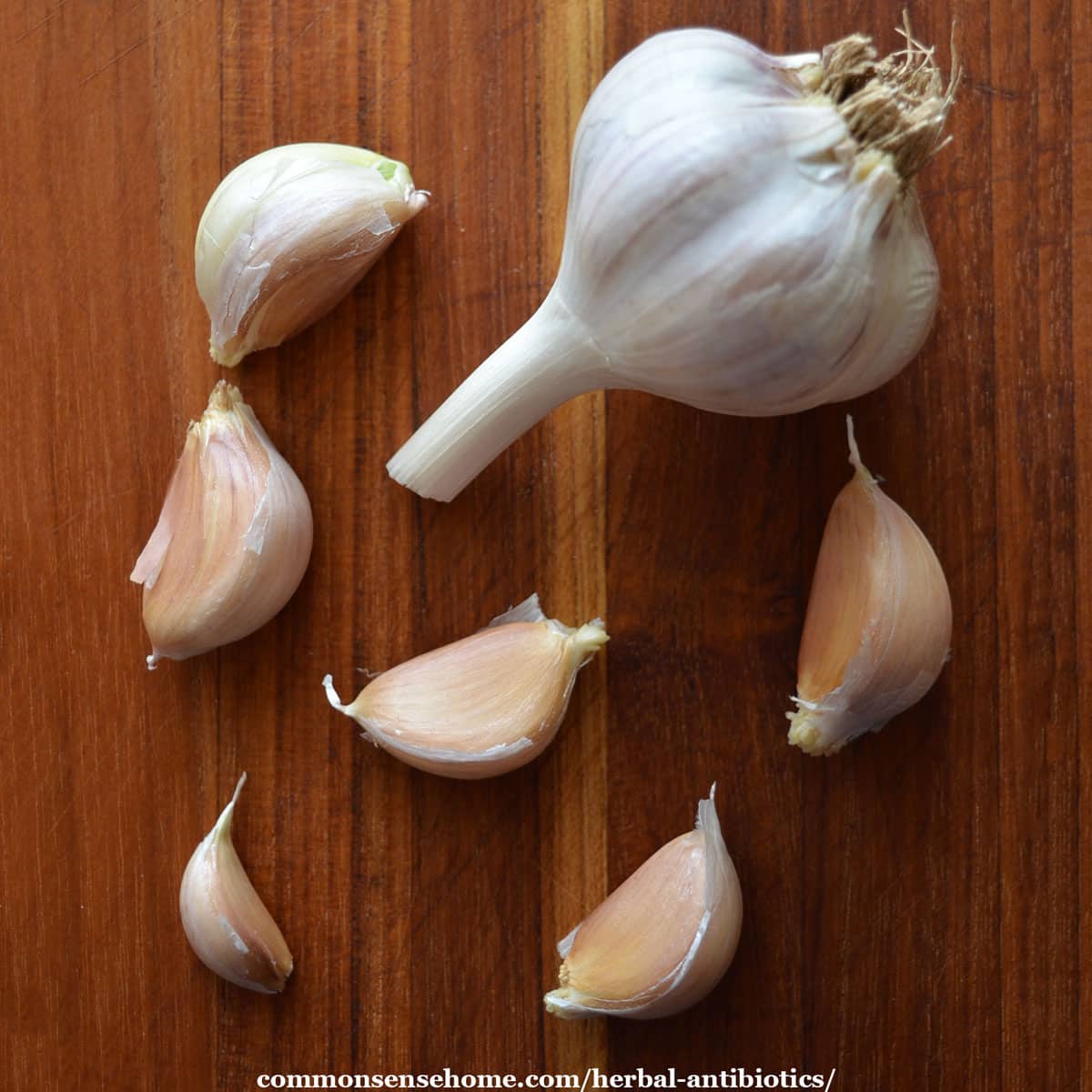 garlic cloves and bulb