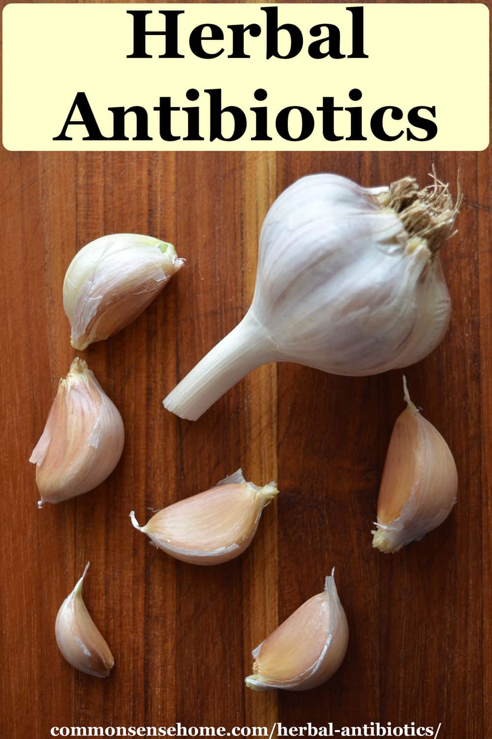 herbal-antibiotics-15-natural-infection-fighters