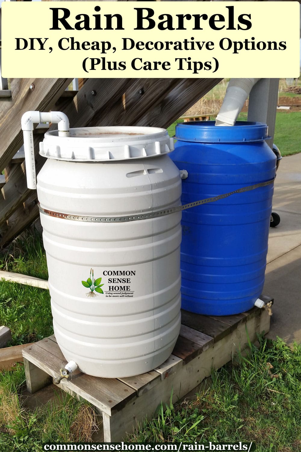 two 50 gallon drum rain barrels