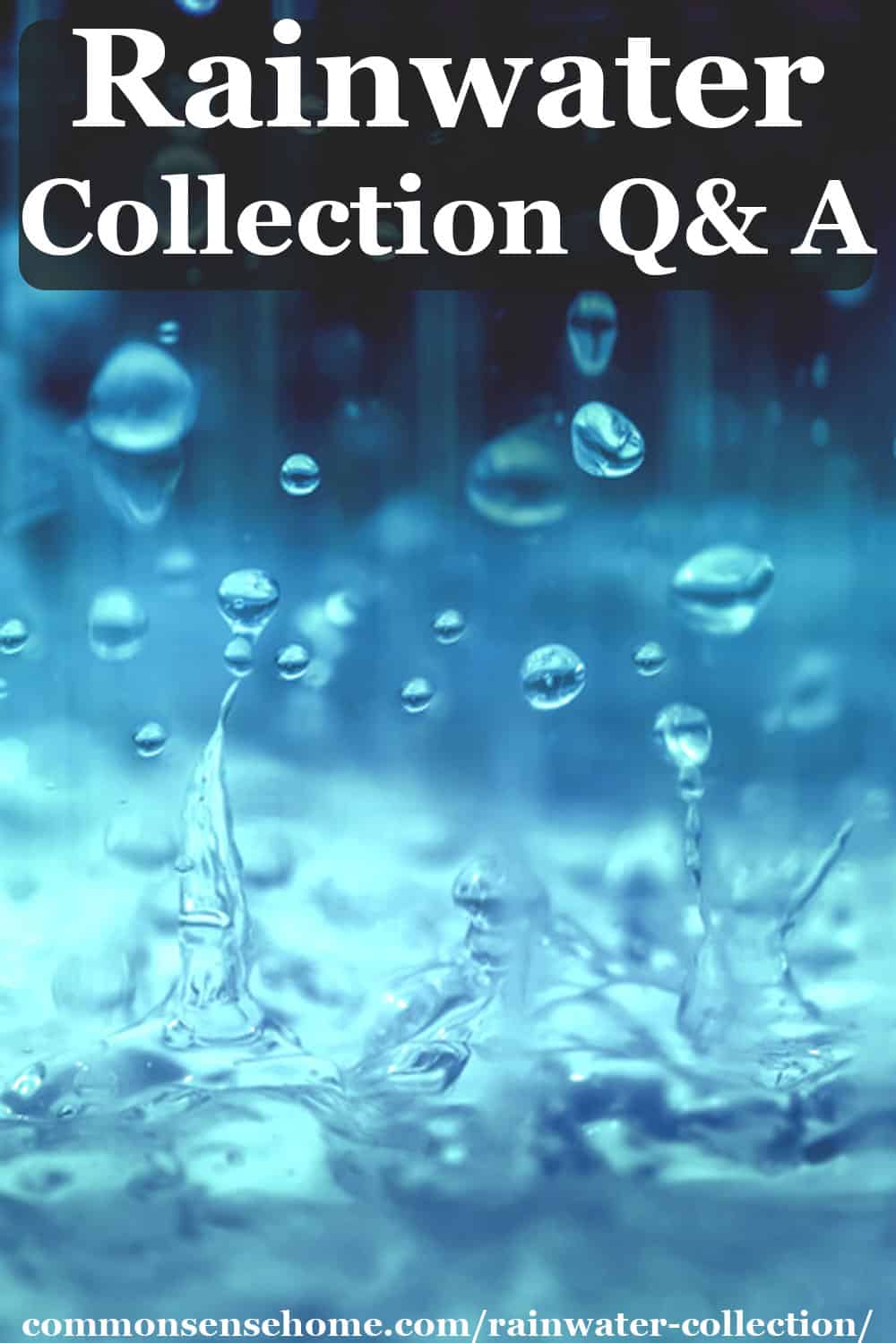 Rainwater Collection Guide Common Questions Answered