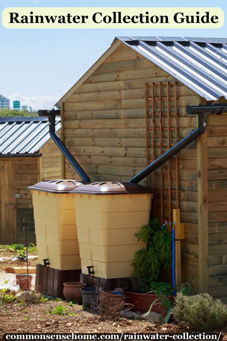Rainwater Collection Guide Common Questions Answered