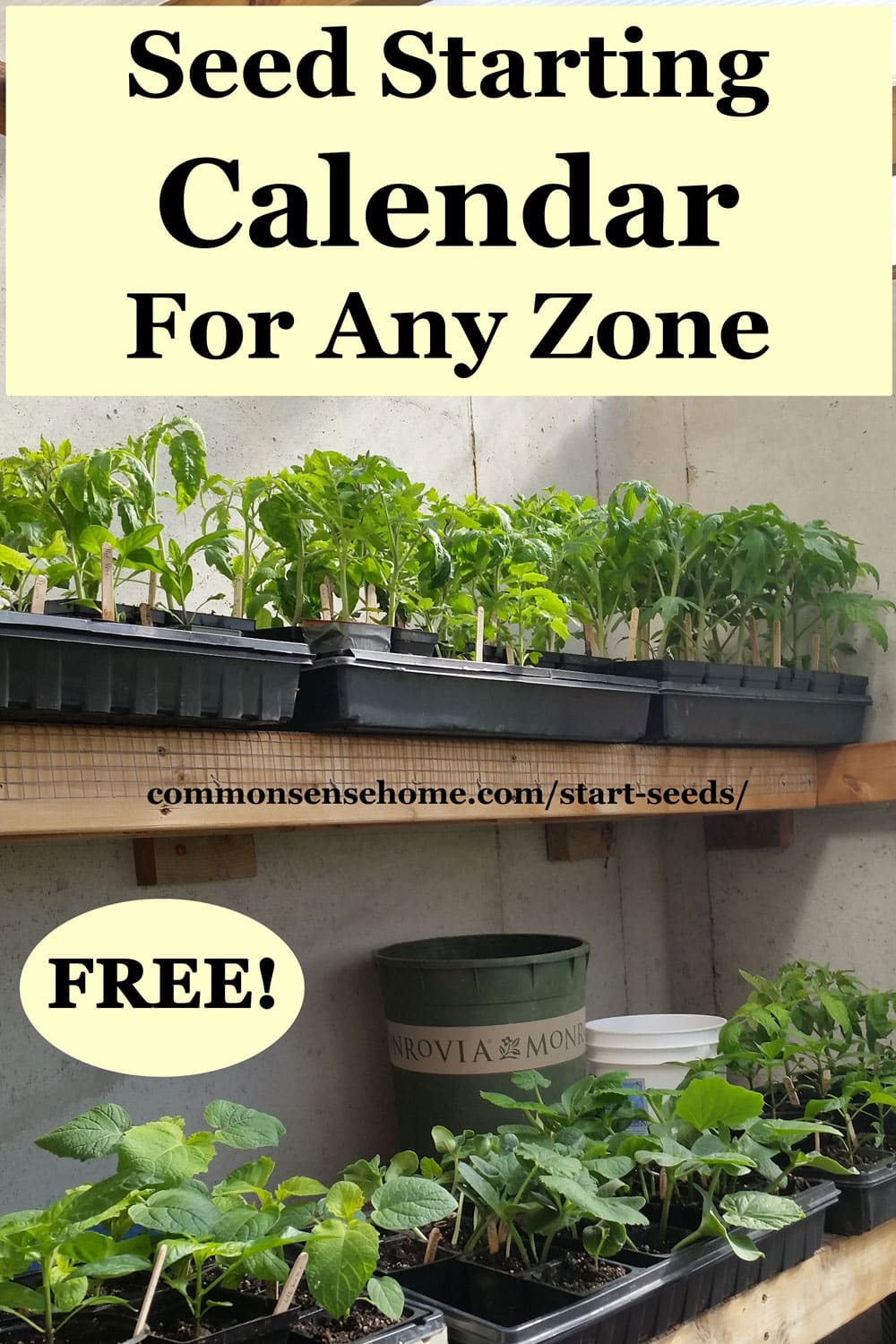 When Should I Start Seeds? Indoor and Outdoor Charts