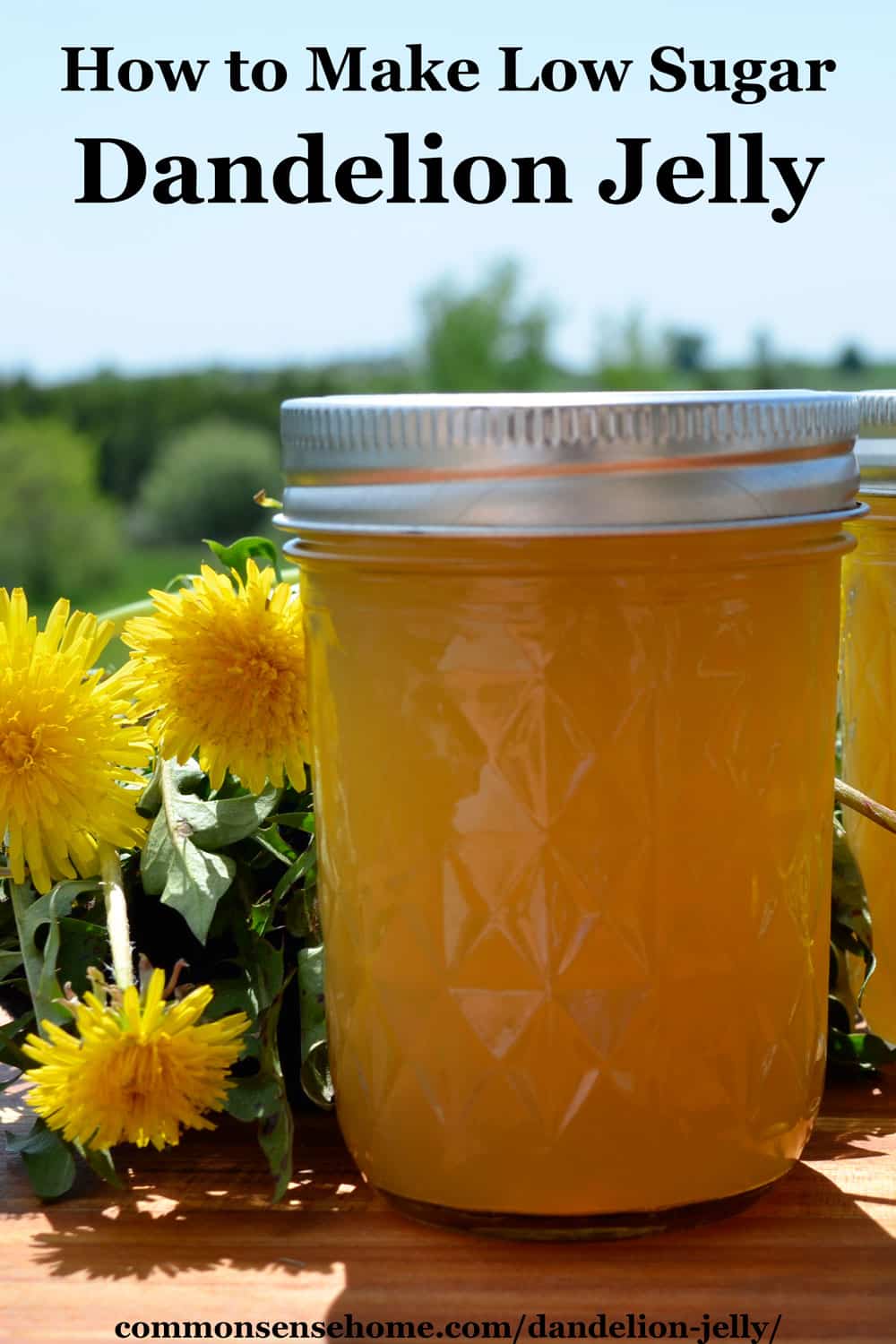 Dandelion Jelly - Easy Flower Jelly Recipe with Less Sugar