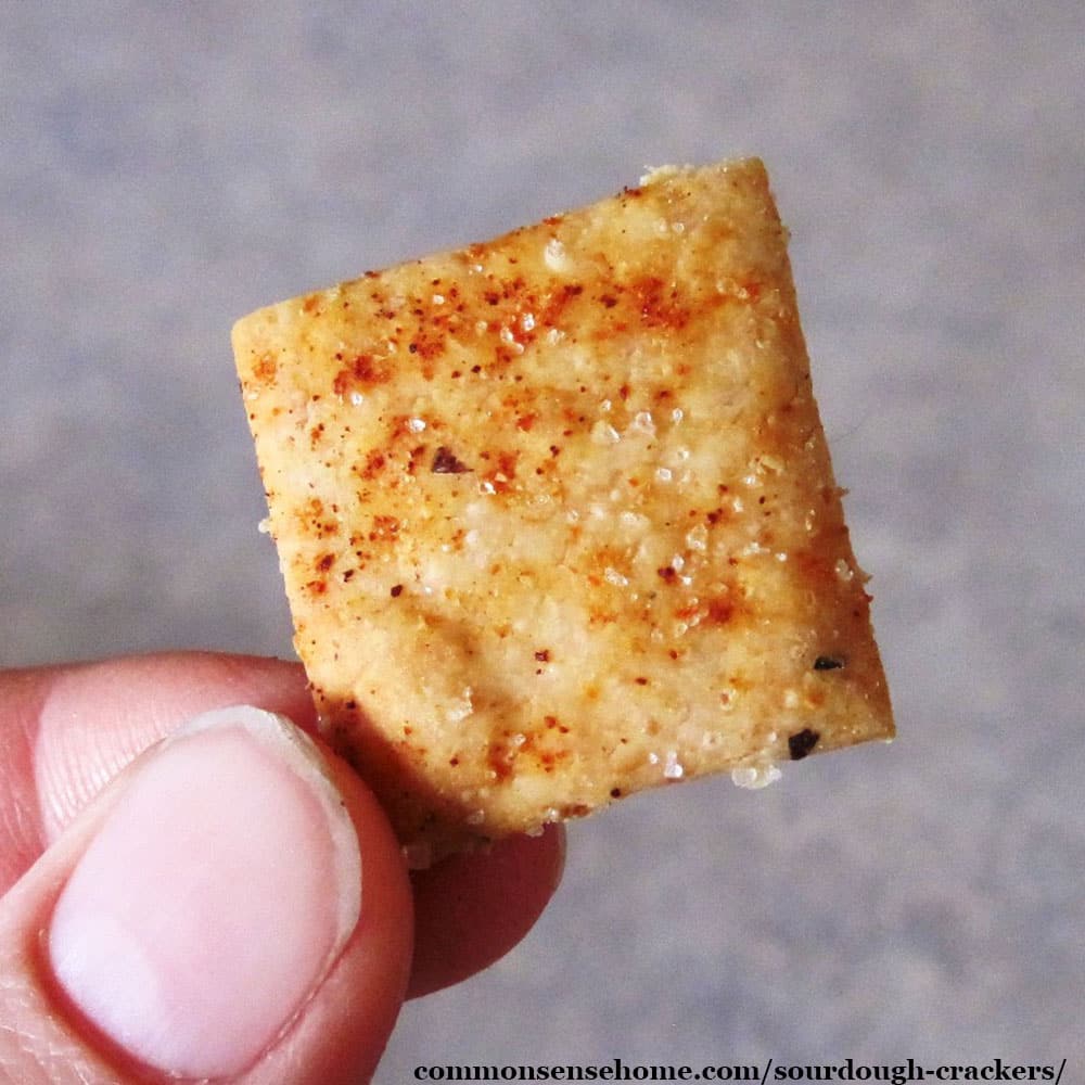 pizza flavored sourdough cracker